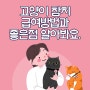 고양이 참치 급여방법과 좋은점 알아봐요