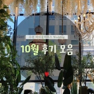 용인 웨딩홀 10월 최신 후기 모음 (본식, 계약, 시식, 하객) 파티움하우스