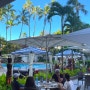 하와이 아침식사 맛집, 쉐라톤 프린세스 카이울라니 호텔 스플래쉬 바 (Splash Bar)