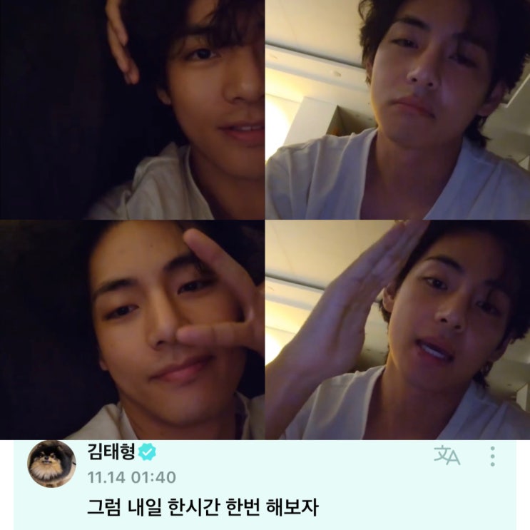 [방탄소년단 BTS] 221114 태형이의 위버스 라이브(다이어트가 힘든 태태🥰) : 네이버 블로그