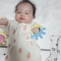 [육아일기] 47일 아기 - 한달된 아이 딸랑이로 놀아주기와 작아진 애착인형(예정) 젤리캣