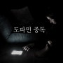 코카인 메스암페타민 필로폰 도파민 중독 욕망회로 통제회로 도파민단식