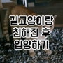 길고양이랑 친해지기 부터 입양까지