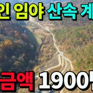 경북의성임야매매 자연인 가능 전체금액 단돈1900만원 6840평 예전화전민터 -세상사는부동산-