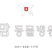 [미용] 슈가(Bichon Frise)비숑프리제 스포팅 : 광교 아브뉴프랑 맘동물병원 : 애견미용