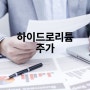 하이드로리튬 연속상승세/ 주가 파헤치기