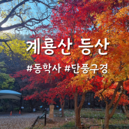 가을 단풍 계룡산 국립공원 등산/ 동학사코스로 관음봉/ 블랙야크100대명산