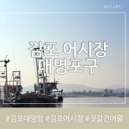 [김포]대명포구 어시장 대명항