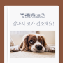 김포24시동물병원 강아지 코가 건조해지는 이유
