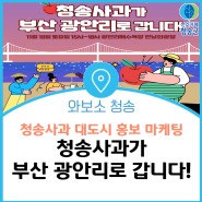 청송사과 대도시 홍보 마케팅, 청송사과가 부산 광안리로 갑니다~