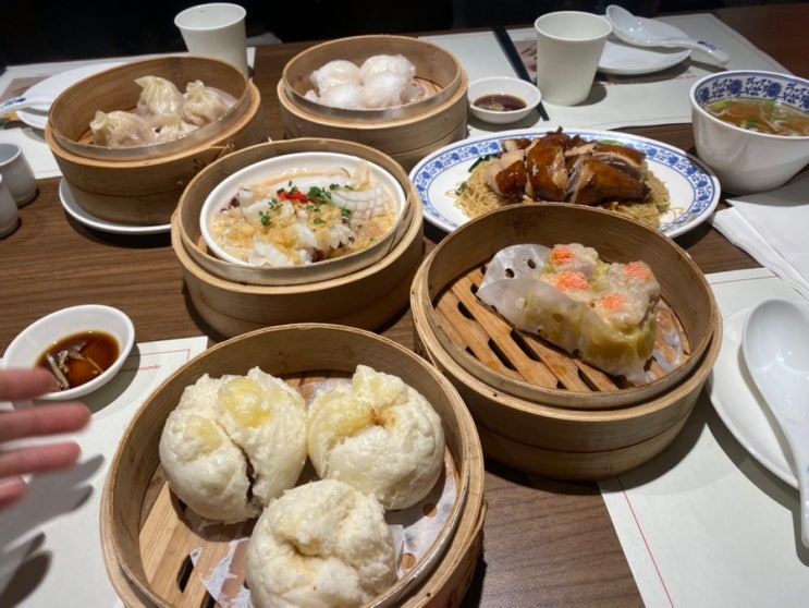 [명동 딤섬 맛집] 홍콩 그 잡채, 찐 딤섬 맛집 딤딤섬(서울딤섬맛집, 눈스퀘어 맛집, 명동 중식당, 딤딤섬 예약) : 네이버 블로그