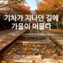 [2022년 11월 대구선 동촌공원] 기차가 지나던 길에 가을이 머물다