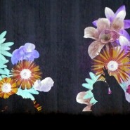 천안 성성호수공원에 꽃을 활짝 피우고 왔습니다