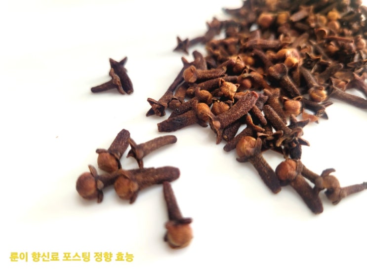 향신료 정향 효능_약재로도 사용해요 : 네이버 블로그