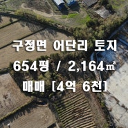 구정면 어단리 남강릉IC 인근 654평 토지매매