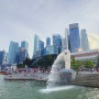 싱가포르여행④ 2층 시티 버스 투어, 머라이언 파크 관광, 송파바쿠테 후기