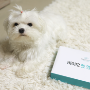강아지모발검사 영양검사 털을 이용한 바이오펫 건강검진 내돈내산