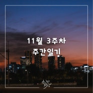 11월 3주차 주간일기⎮청소