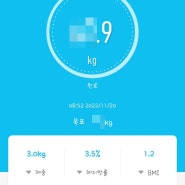 2201112-1120 식단.체중기록_거북이다이어터🐢