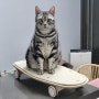 고양이 스크래쳐 놓칠 수 없는 고양이용품 힌토펫