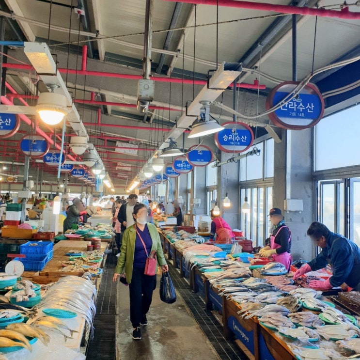 제주도 시장 세화오일장 시간 제주오일장 맛집 구경 : 네이버 블로그
