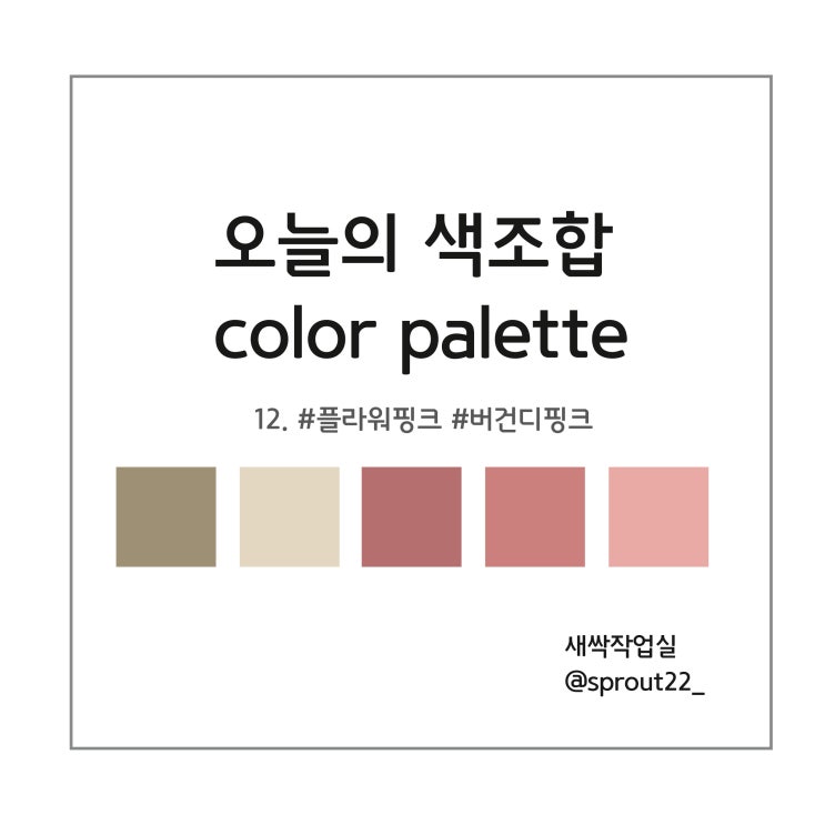 ppt 색조합 추천 / 오늘의 색조합 no.12 플라워 핑크 : 네이버 블로그