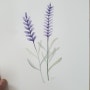 수채화 라벤더 그리기, 수채화 식물그림, 보라빛 감성수채화 그림