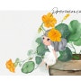 한련화 - 아이패드 그림 일상 꽃요정 그리기/ 허브 꽃그림