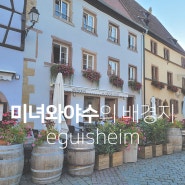 프랑스인이 선호하는 아름다운 마을 에귀샤임 (eguisheim)