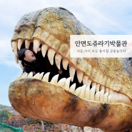 [안면도 여행] 안면도 쥬라기 박물관 - 여기도 진품, 저기도 진품, 진짜 공룡화석!?