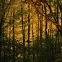 아름다운 가을 서울숲공원 힐링명소 주차비 주차장