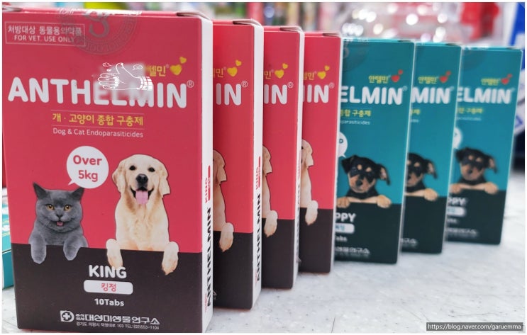 회충 촌충 십이지장충 편충 강아지 고양이 개 반려동물 종합 내부 구충제 안텔민 킹 안텔민뽀삐/의정부동물약국 : 네이버 블로그