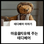 테디베어 이야기 1 🧸