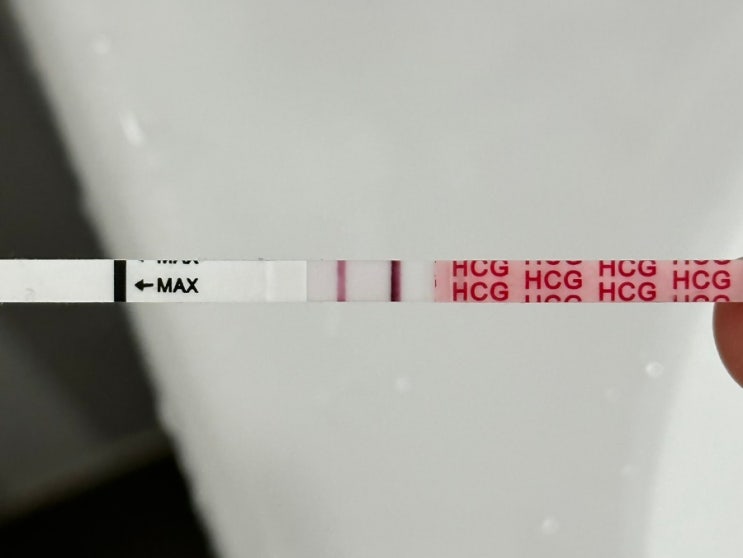 [유산 후 임신준비] 원포 스트립 스틱 습기, 시약선 농락, 다음날 아침 재검 결과 : 네이버 블로그