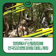 '산림청장배 전국오리엔티어링 대회' 양양군에서 개최