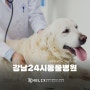 강남24시동물병원 헬릭스동물메디컬센터 서초점 소개합니다.