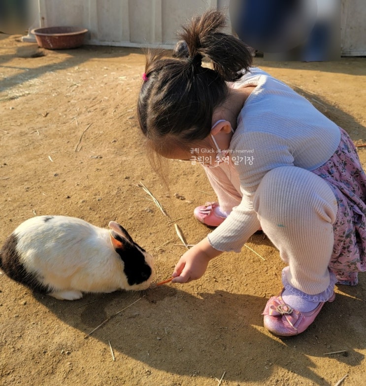 부천 나눔농장 토끼랑 대화하기 가을 겨울 두계절 스벅 신메뉴...