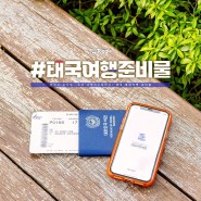 태국 해외여행 준비물 환전과 옷차림, 토글 여행자 보험 무료 이벤트까지!