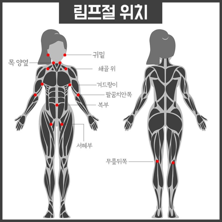 림프 순환 마사지 림프절 위치 : 네이버 블로그