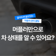 자동차 머플러 소음으로 자동차 상태 아는 법