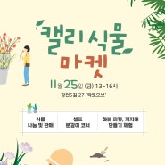 락토오보 캘리식물마켓