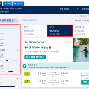 항공편 예약 스카이스캐너 검색 꿀팁 + 비용