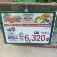 배추 절여서 김장 해요