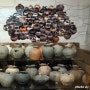 [올림픽공원] 삼국시대 첫 주도권, 백제의 역사 살필 수 있는 한성백제박물관