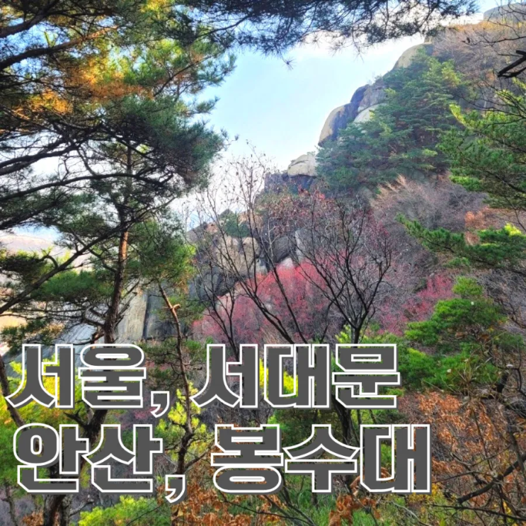 서울 서대문 안산 자락길 봉수대 초보 등산 (높이 259.5m) : 네이버 블로그
