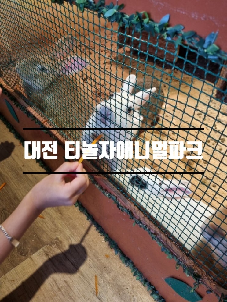 대전 티놀자애니멀파크 + 대전실내동물원 + 대전 세종 아이랑