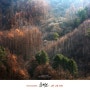 삶의 설레임, 풍경! 그 감동 #035 The Fall in love .in Beautiful Korea © JAE JIN YUN Copyright .JAE JIN