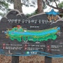 영동 가볼만한 곳 - 송호국민관광지,강선대