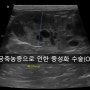 [대구동물병원][수성구동물병원][외과특화][응급진료][일요일진료] 자궁축농증으로 인한 중성화 수술(OHE)