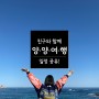 [국내여행] 친구랑 1박2일 양양여행_일정공유!